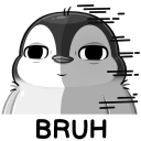 *Bruh*