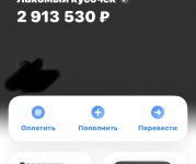 IMG_7022.jpeg